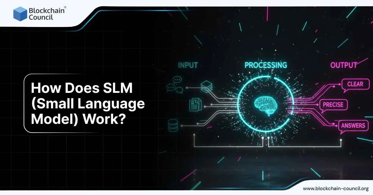 How Does SLM (Small Language Model) Work?