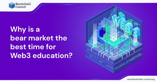 Why is a bear market the best time for Web3 education