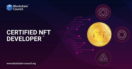 NFT Developer