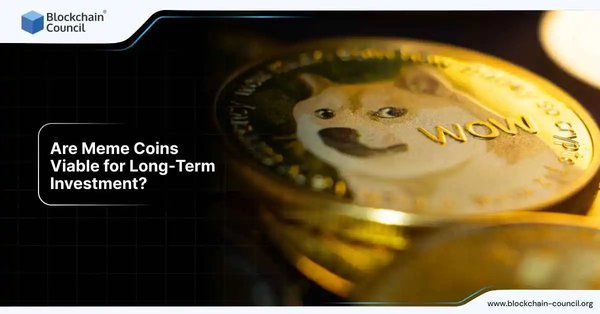 Are Meme Coins Viable for Long-Term Investment?