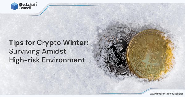 Tips for Crypto Winter Surviving Amidst High-risk Environment