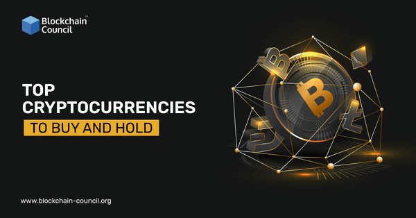 TOP CRYPTOCURRENCIES TO BUY AND HOLD
