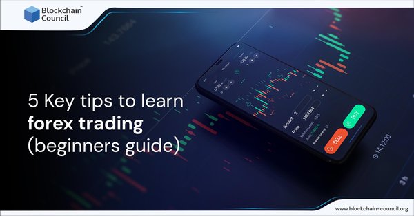 5 Key tips to learn forex trading (beginners guide)