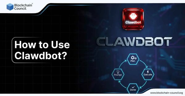 How to Use Clawdbot?