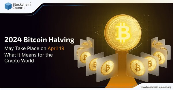 Bitcoin Halving