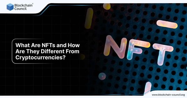 What Are NFTs and How Are They Different From Cryptocurrencies?