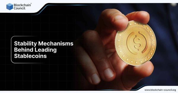 Stability Mechanisms Behind Leading Stablecoins → "How Leading Stablecoins Maintain Stability"