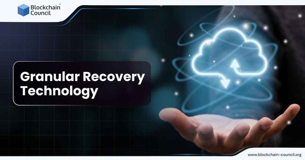 Granular Recovery Technology