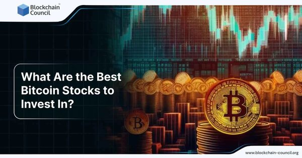 What Are the Best Bitcoin Stocks to Invest In?
