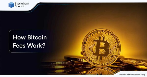 How Bitcoin Fees Work
