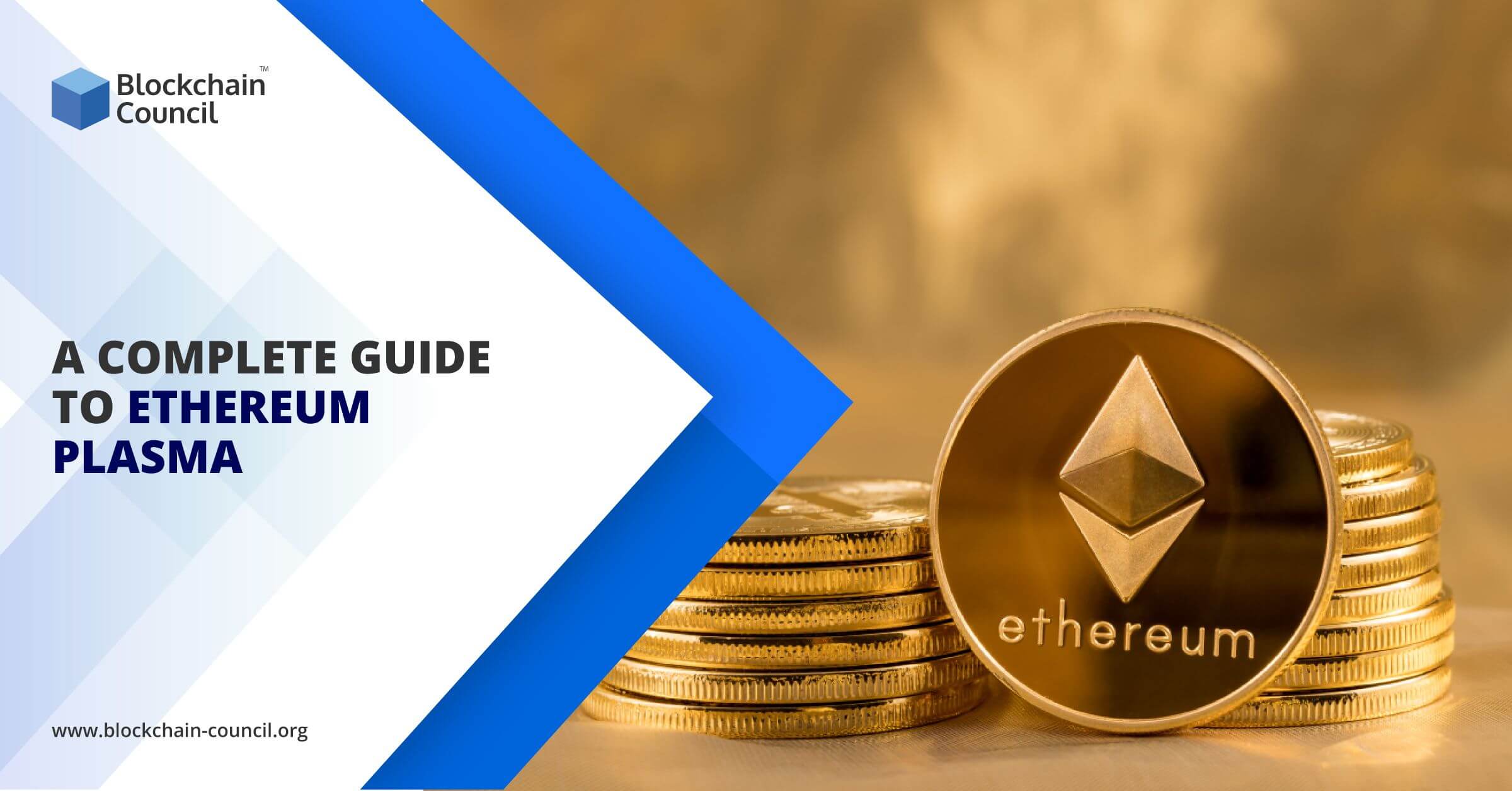 A-Complete-Guide-to-Ethereum-Plasma