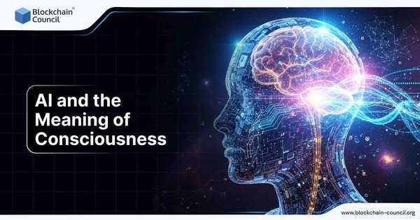AI and the Meaning of Consciousness