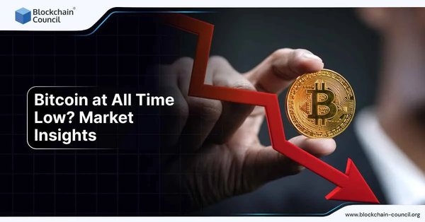 Bitcoin at All Time Low? Market Insights
