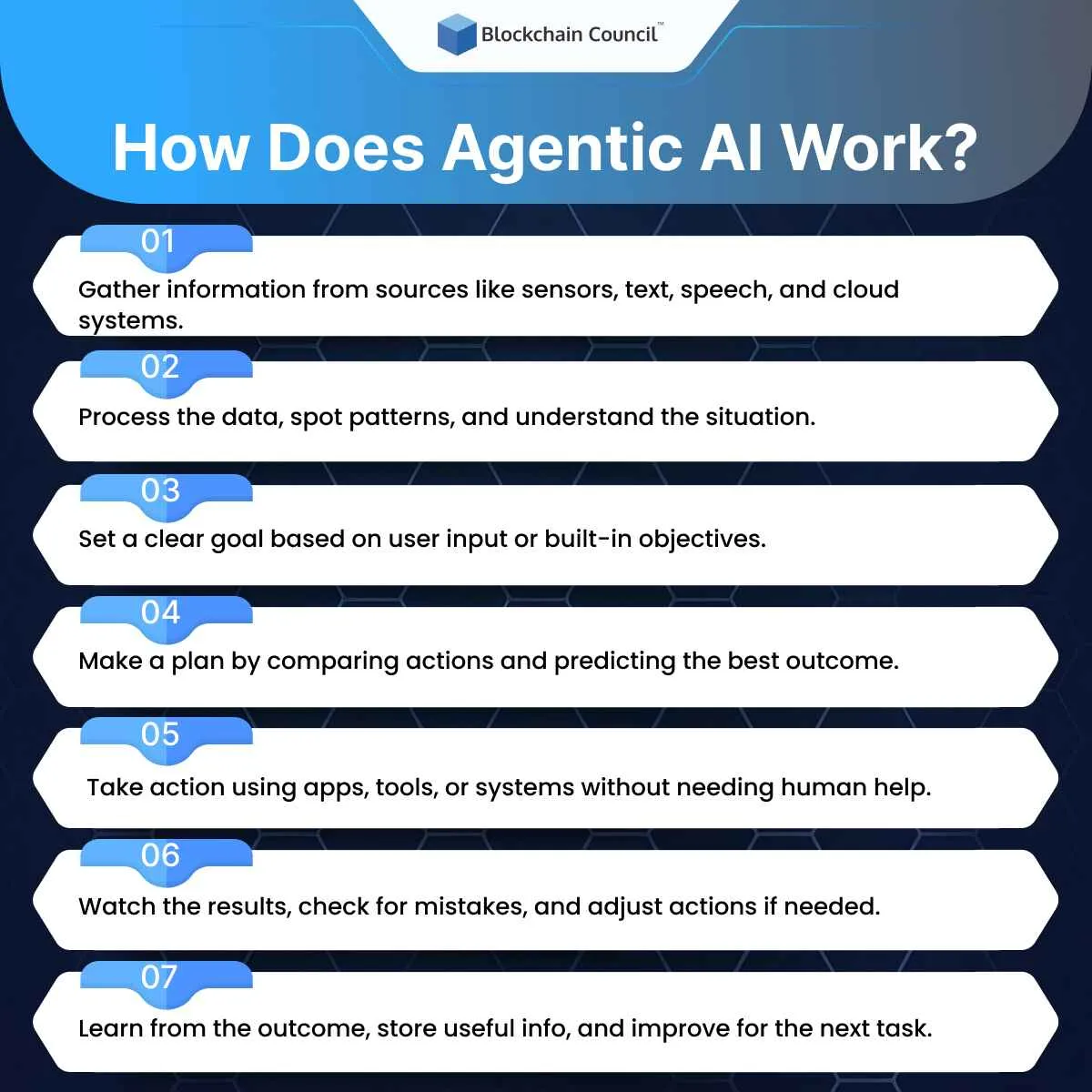 How Does Agentic AI Work? 