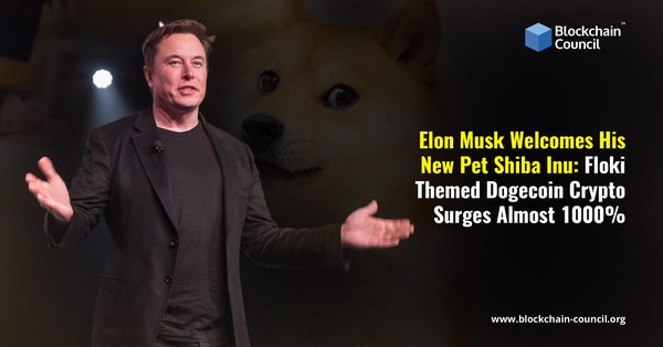 Elon Musk Welcomes His New Pet Shiba Inu Floki Themed Dogecoin Crypto Surges Almost 1000%