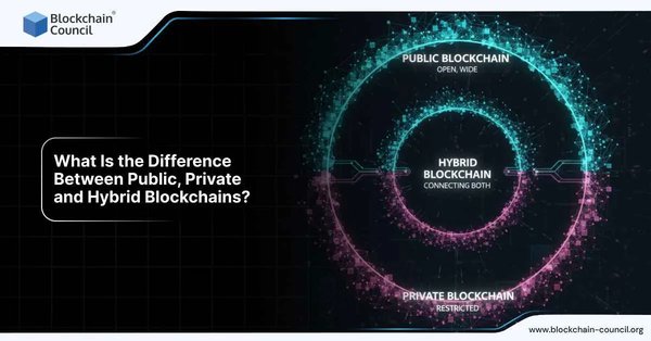 What Is the Difference Between Public, Private, and Hybrid Blockchains?