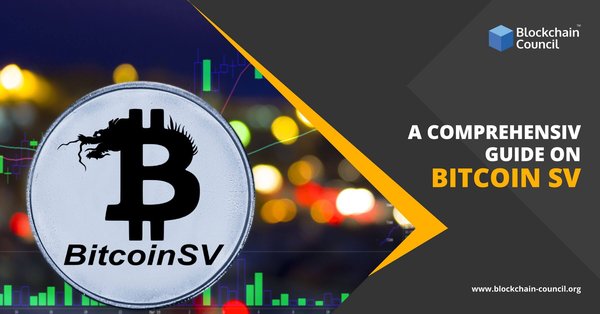 A-Comprehensive-Guide-on-Bitcoin SV