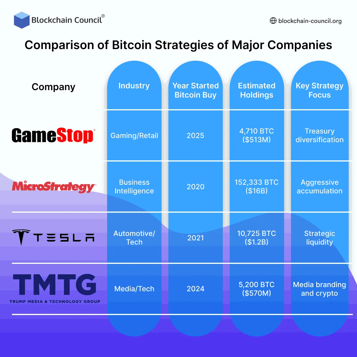 Comparison of Bitcoin Strategies of Major Companies
