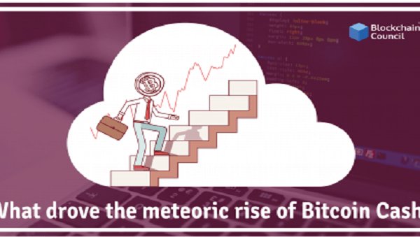 What-drove-the-meteroic-rise-of-Bitcoin-Cash-410×260