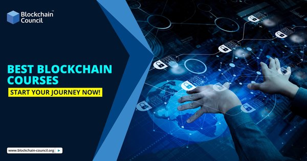 Best Blockchain courses