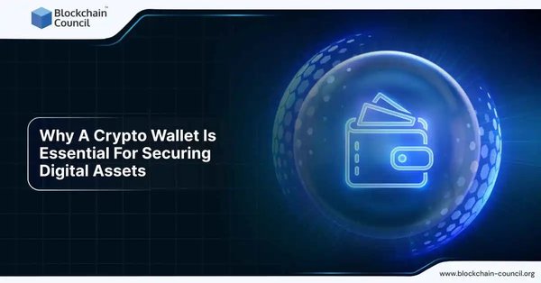 Why A Crypto Wallet Is Essential For Securing Digital Assets