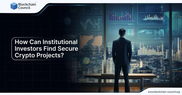 Institutional Investors Find Secure Crypto Projects