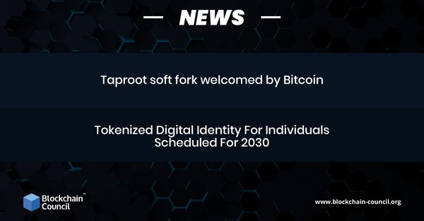 Taproot soft fork welcomed by Bitcoin (1) (1)