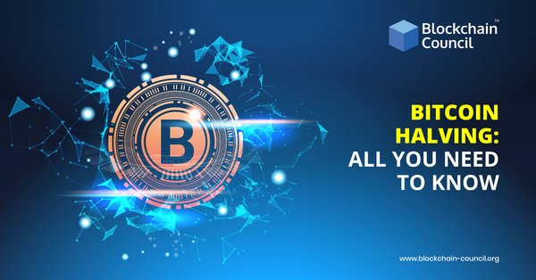 Bitcoin-Halving-All-You-Need-To-Know