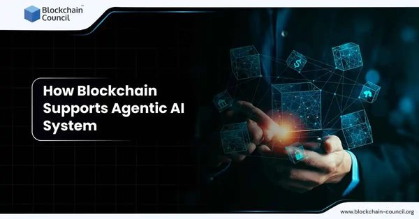 How Blockchain Supports Agentic AI System