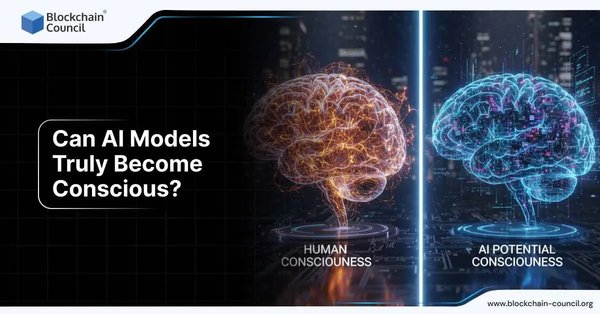 A split-screen image comparing human and AI consciousness. The left side shows a glowing orange human brain labeled “Human Consciousness,” while the right side shows a digital blue brain labeled “AI Potential Consciousness.”