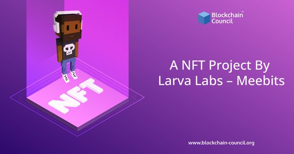 Meebits – A NFT Project By Larva Labs
