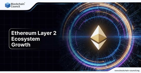 Ethereum Layer 2 Ecosystem Growth