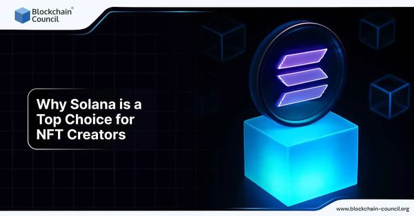 Why Solana is a Top Choice for NFT Creators