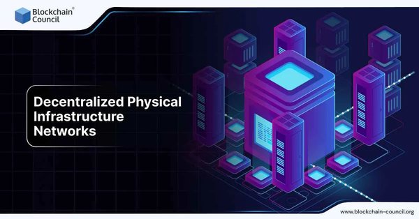 Decentralized Physical Infrastructure Networks