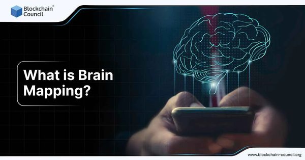 What Is Brain Mapping?